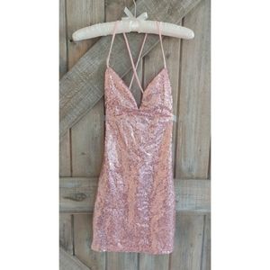 Blush Pink Sequin Dress (NWOT)